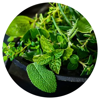organic_herbs